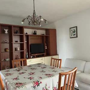 Pm Via Delle Mimose Appartamento